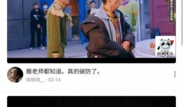 快手网红大鹅爆料视频,快手网红幕后故事